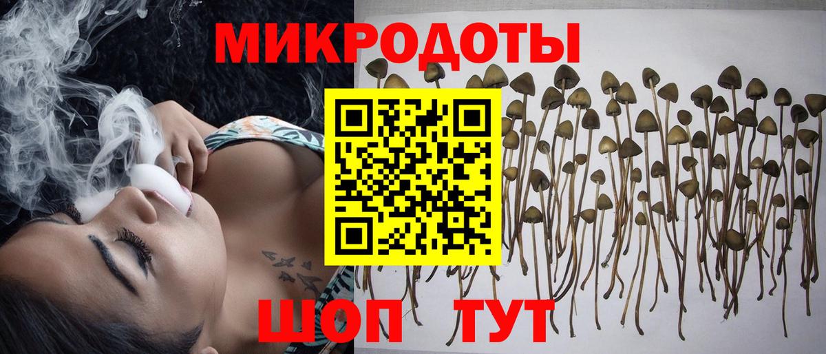 Славгород  Псилоцибиновые грибы Psilocybine cubensis  Вход с VPN 