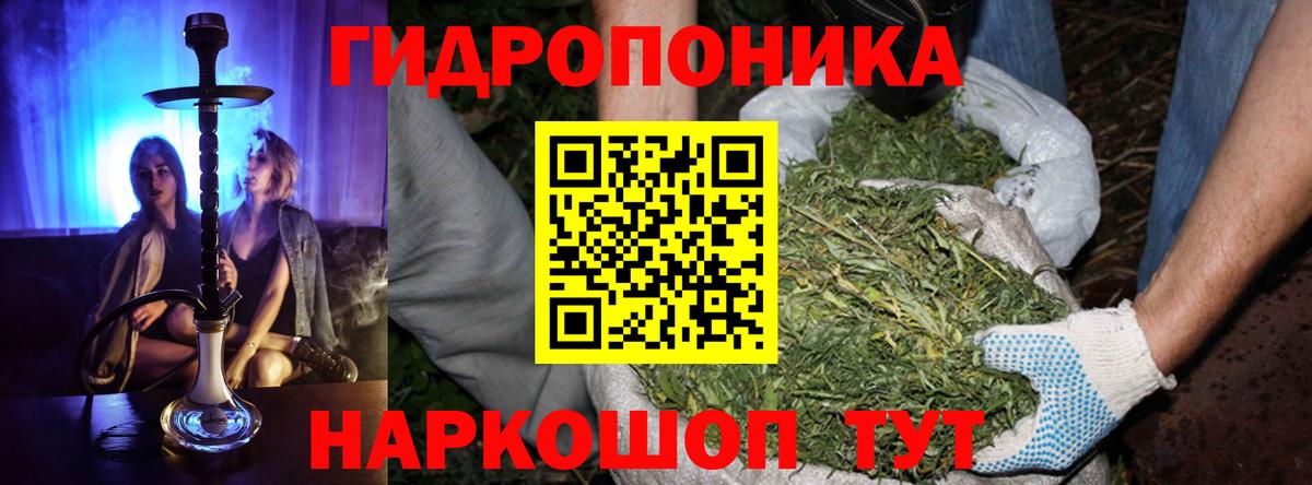 Бошки марихуана план  Каннабис OG Kush  Вход с VPN  Славгород  Канабис AK-47 